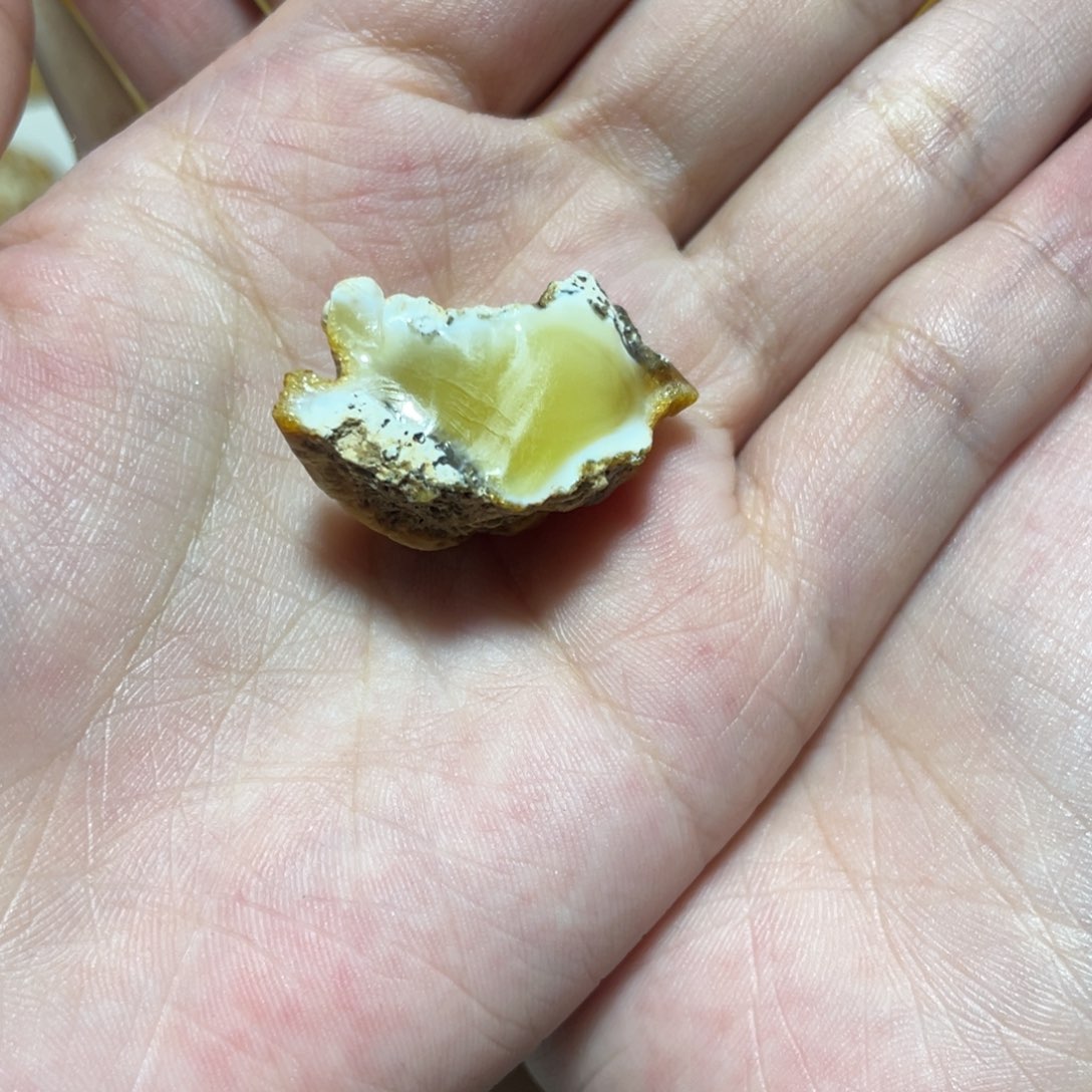 定制琥珀天然原矿