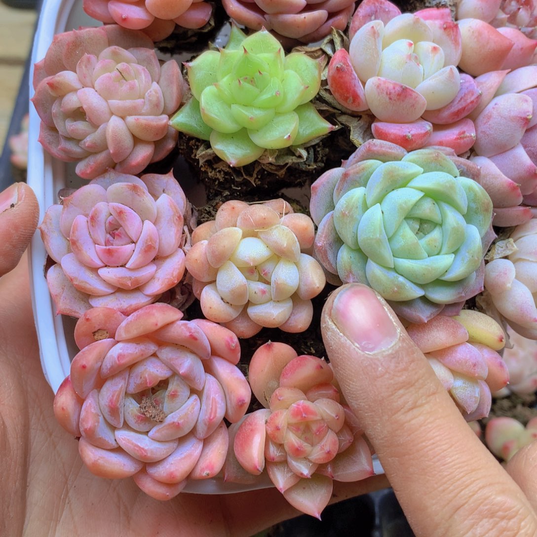 我要睡觉啦晚安啦晚安053