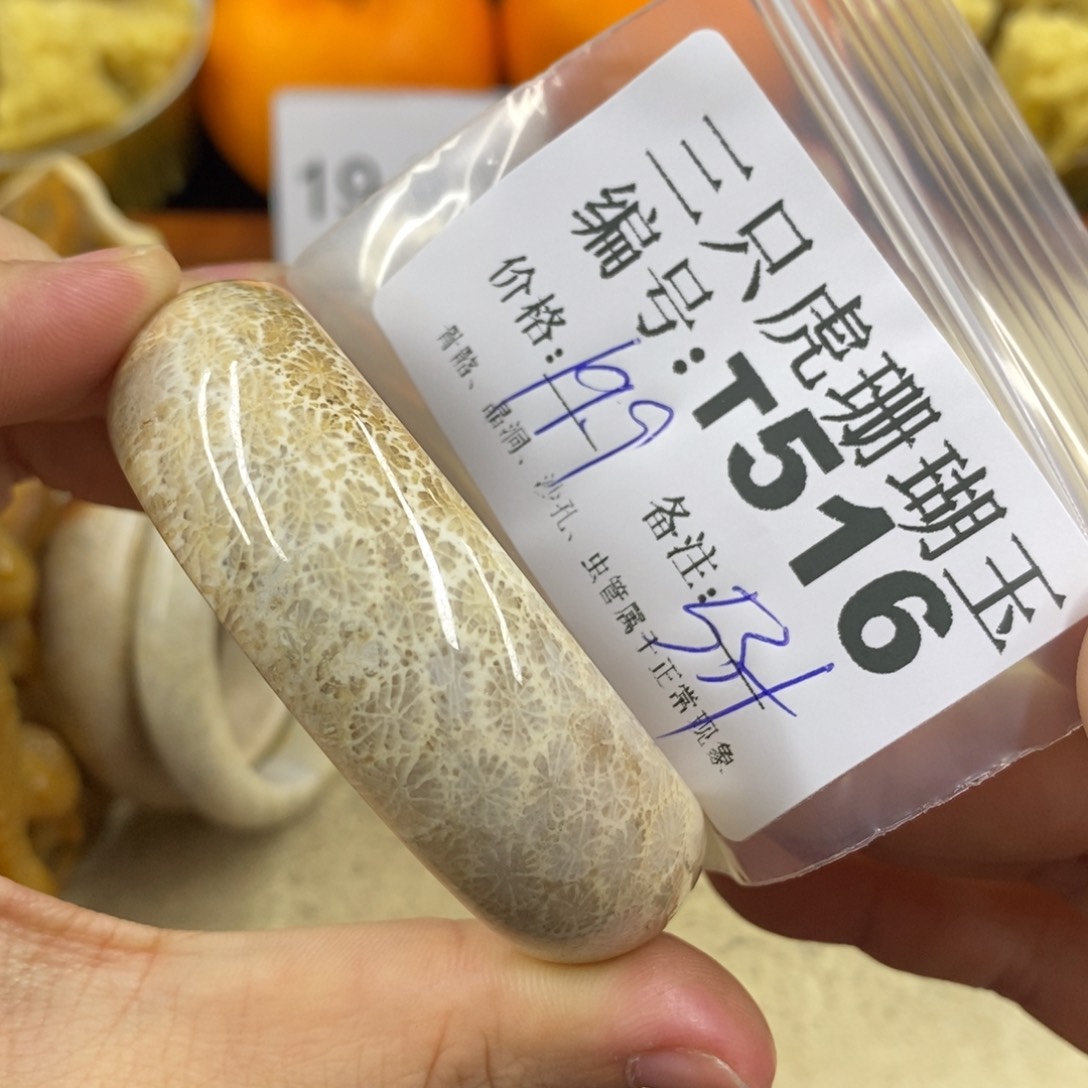 硅化珊瑚（珊瑚玉）1未镶嵌?*婷