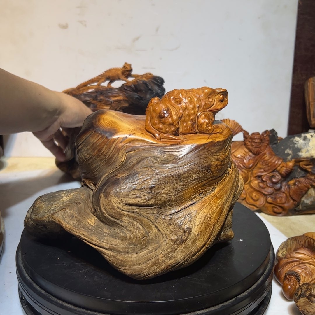 柏木（崖柏）用****5我是一只小小鸟地域鬼的