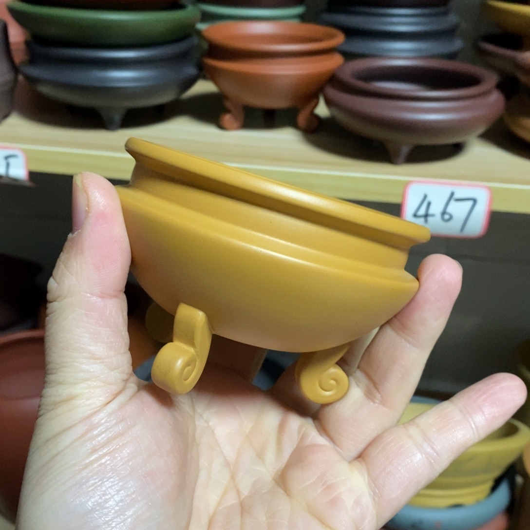 花盆紫砂紫砂文化