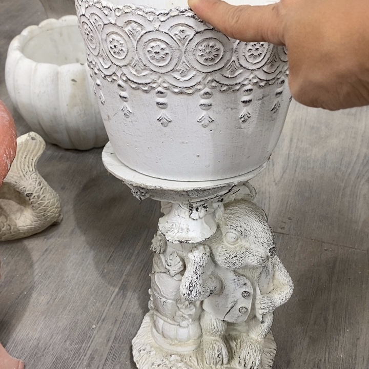 花盆850582828281982828