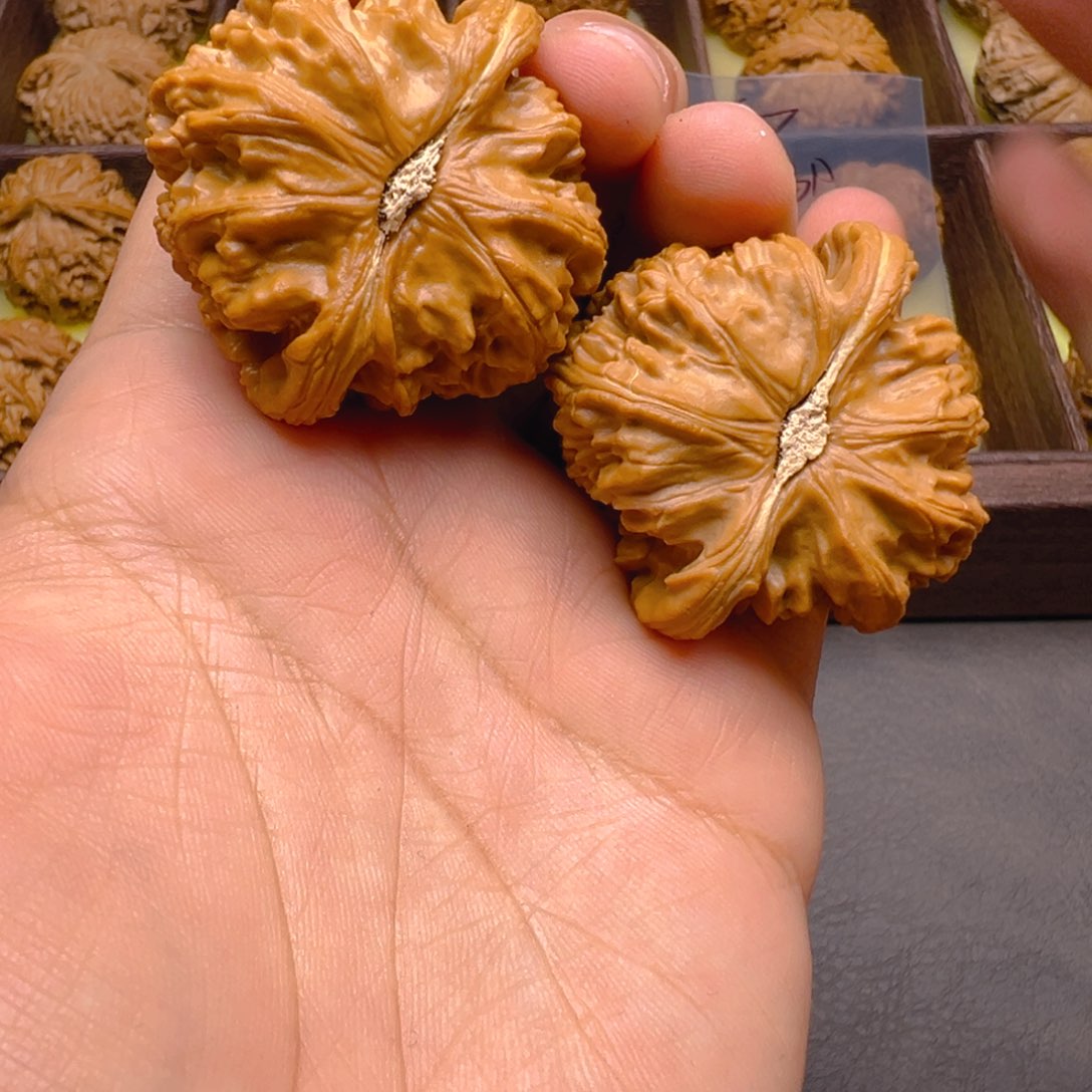 把件文玩核桃43尺球白