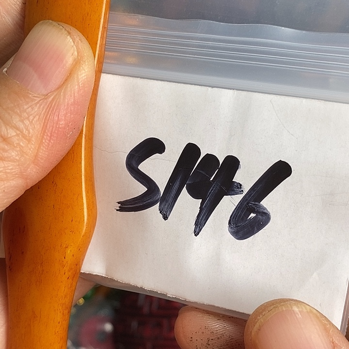 吉***8龙脊菩提吊坠喜乐购专项链接