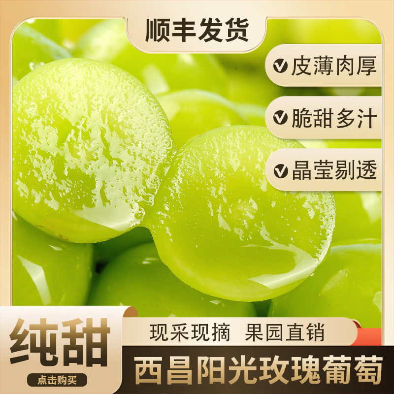 顺丰包邮新鲜阳光玫瑰葡萄晴王青提当季应季水果颗颗饱满达