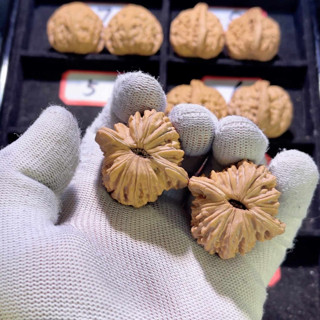 ꧁****꧂秦皇岛山地果全品