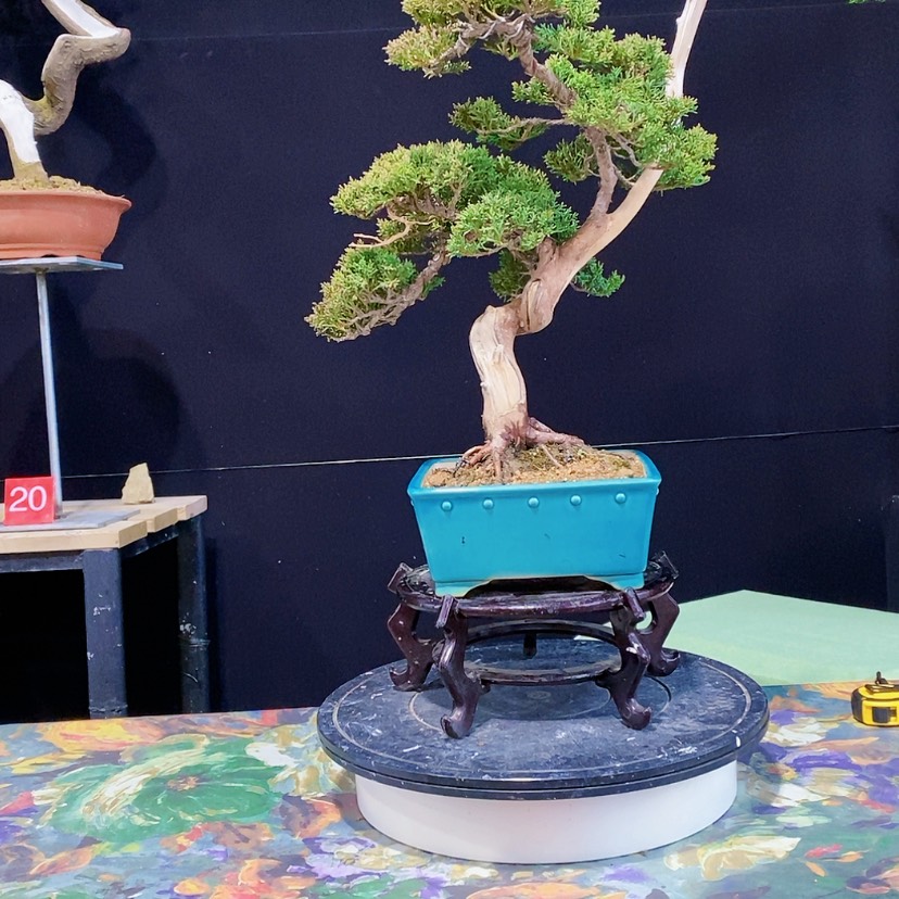 【闪购商品】完全开放心****2