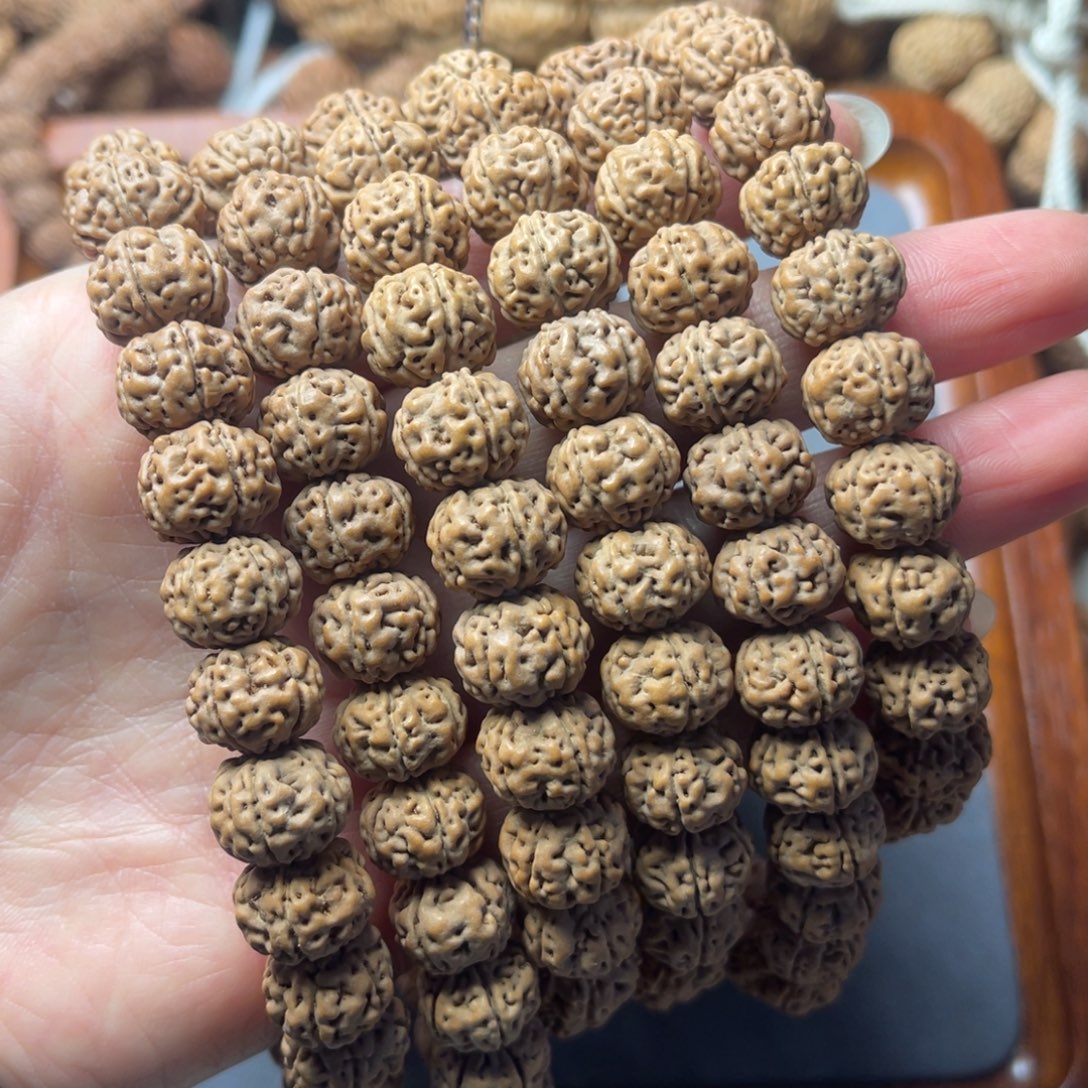 菩提籽类2号金刚菩提纯血老树王手持1.2mm