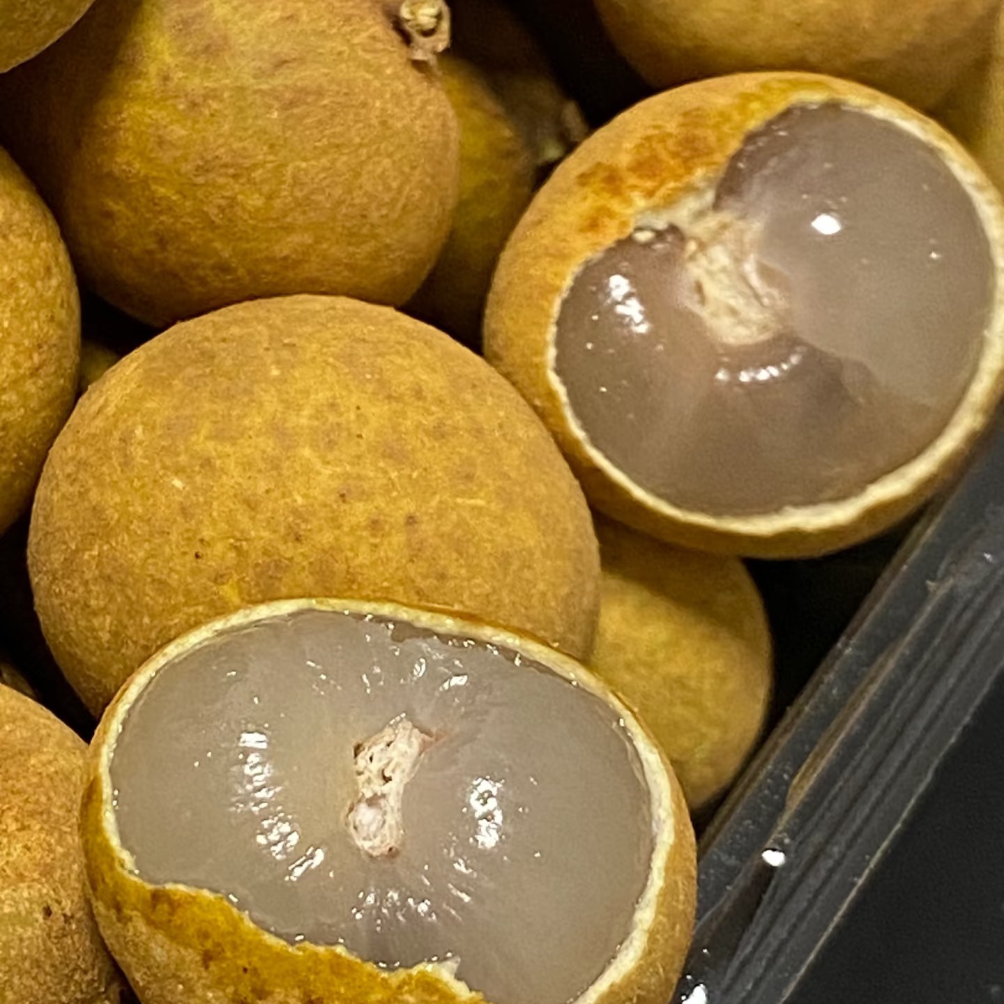 桂圆一盒一斤左右嘎嘎新鲜嘎嘎好吃