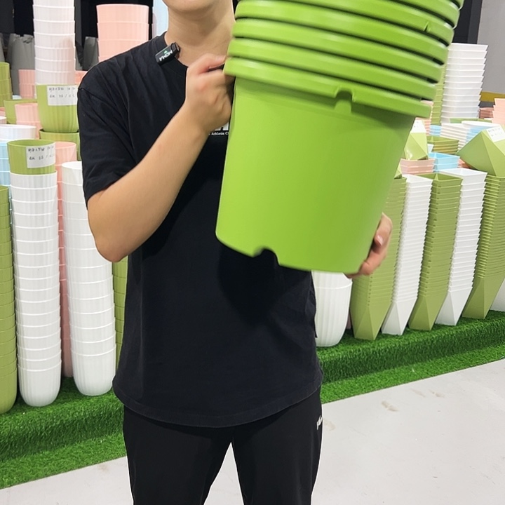 微瑕四季6号口32.5高27.7果绿色7只无托