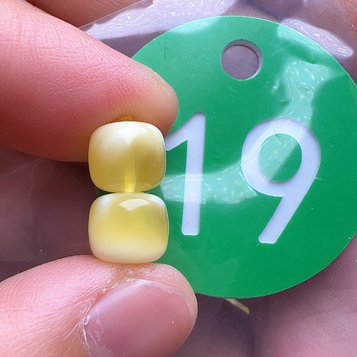 未镶嵌蜜蜡裸石8m m