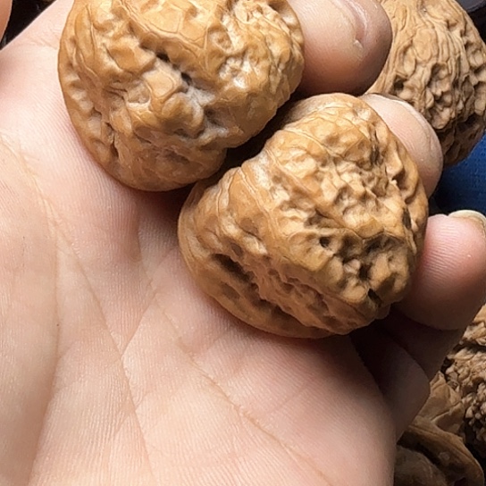 35全品无修蛤蟆头