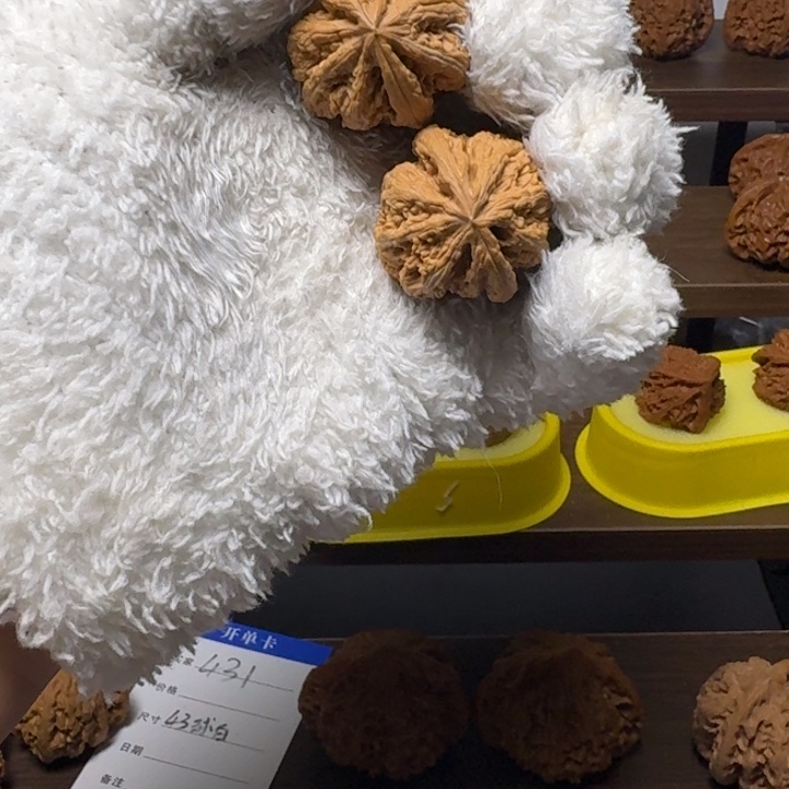 鱼***号桃核吊坠全品小粗筋35