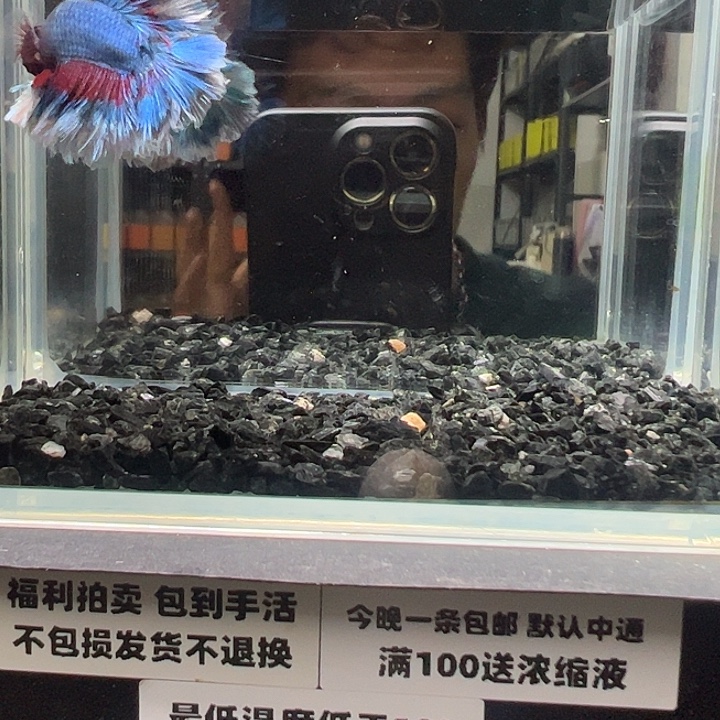 斗鱼跑单拉黑30日73