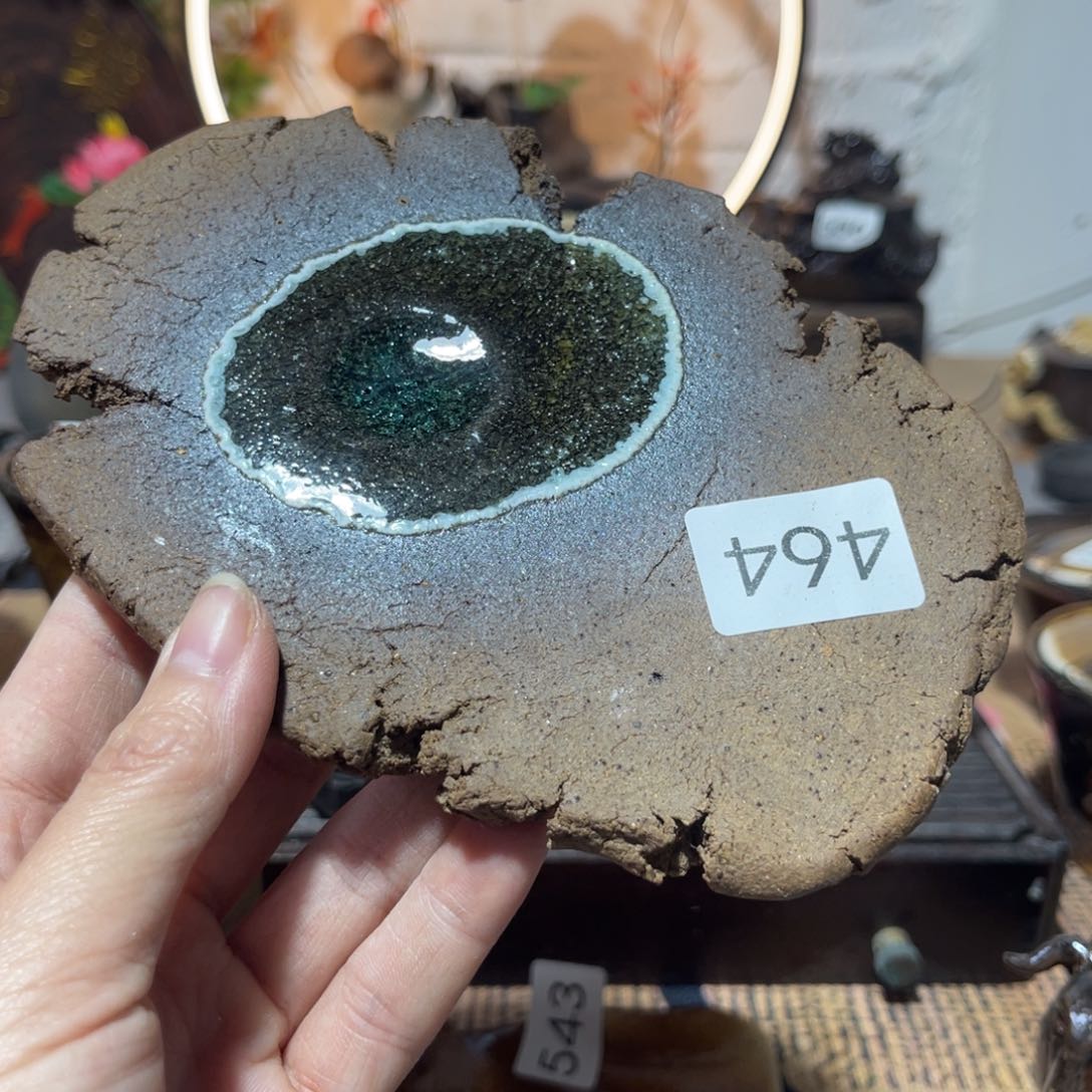 木村信弘柴烧保平