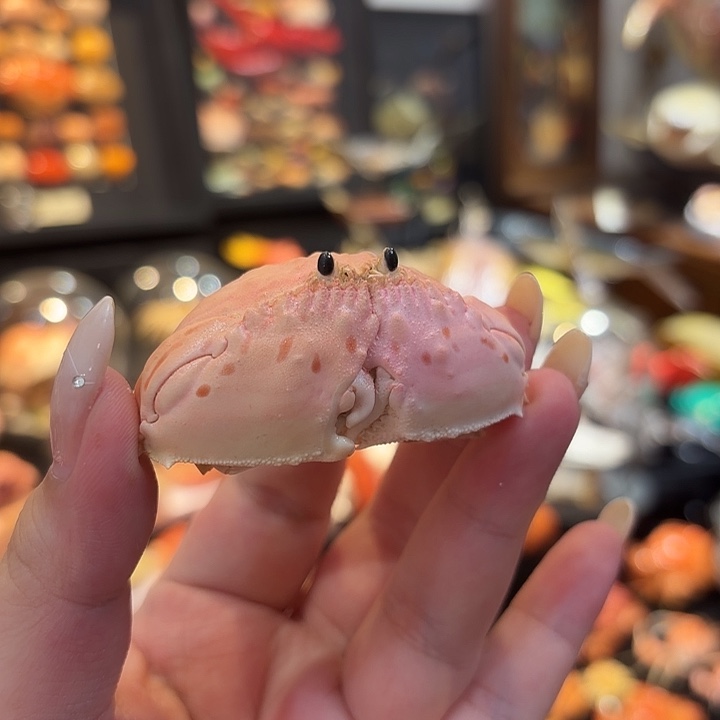 真实小卷折馒头标本