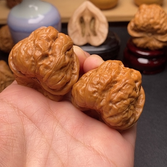 核桃37尺。  蛤蟆头