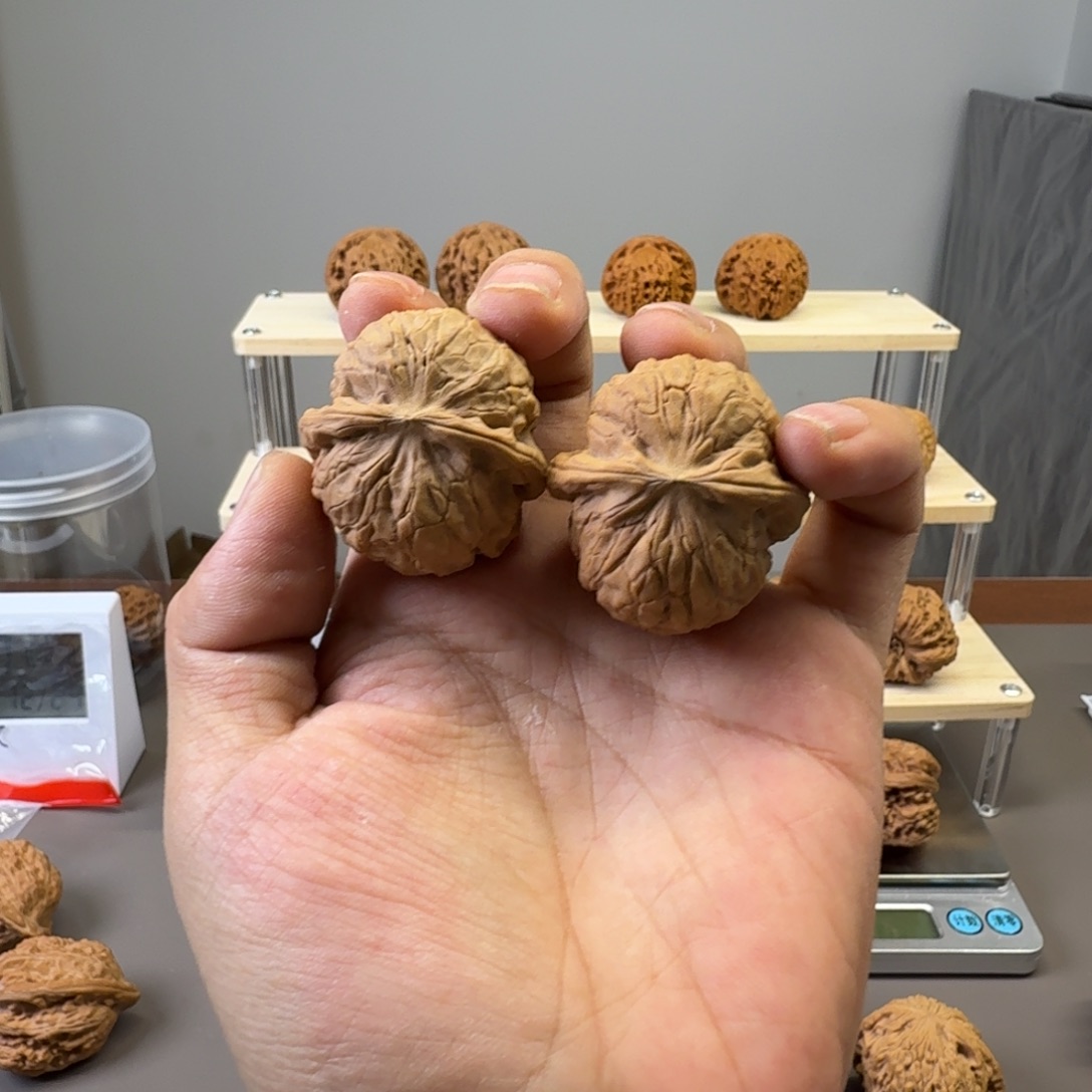 甲骨文全品有黄38尺寸