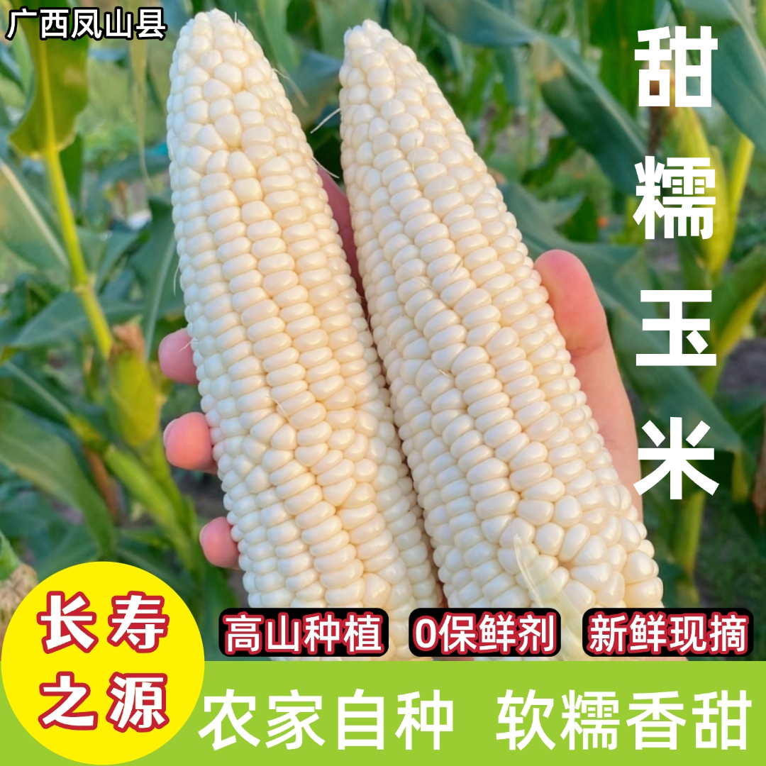 凤山甜糯玉米棒0保鲜剂带皮发货新鲜现摘