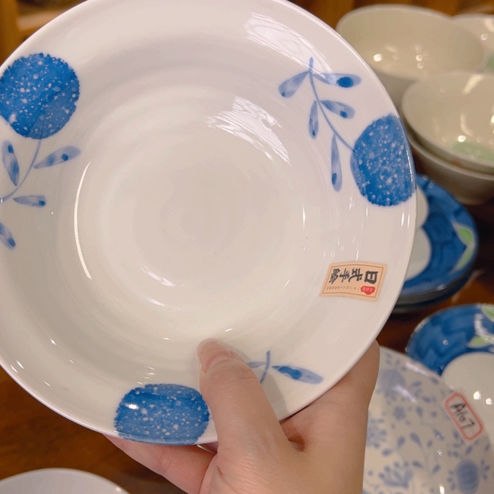 瓷蒲公英6.7寸菜碗2只装