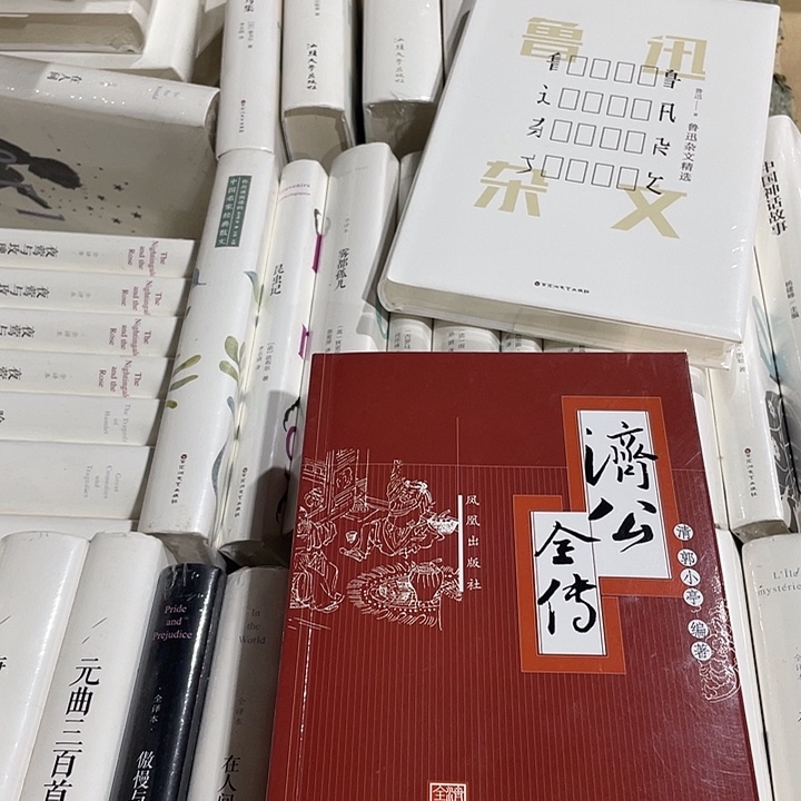正版全新济公全传