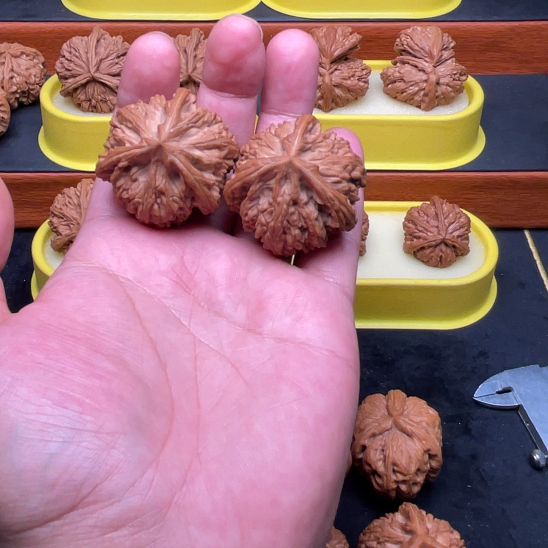 豆***豆核桃手串/手链玉龙粗筋