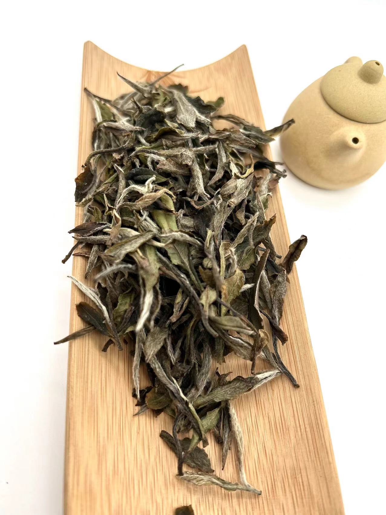 四系编号20210040135大白-2021年牡丹