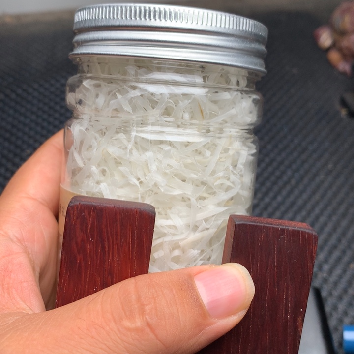 大果紫檀（缅甸花梨）