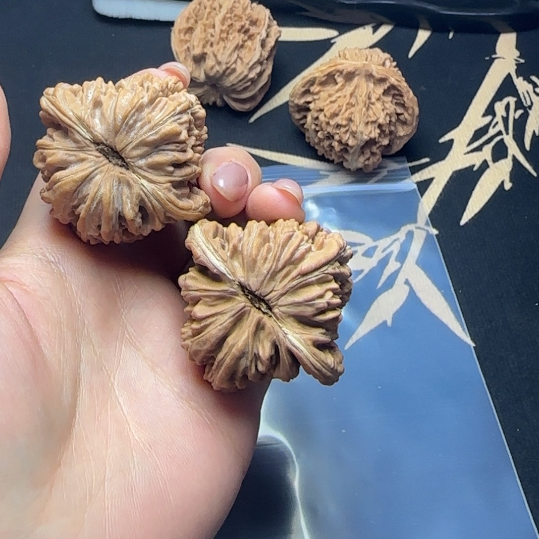 重***挑大叶紫檀（黑酸枝木类）