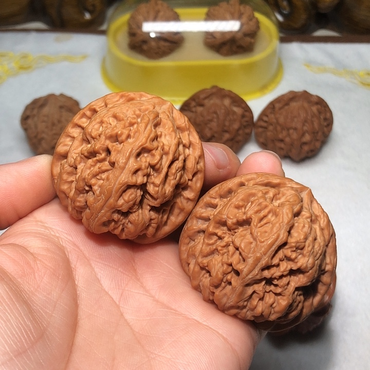 文玩核桃44大粗筋