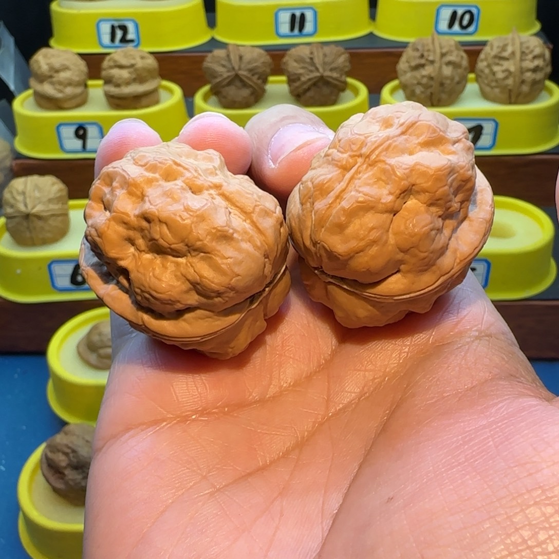 叔***儿把件桃核金蟾疙瘩包