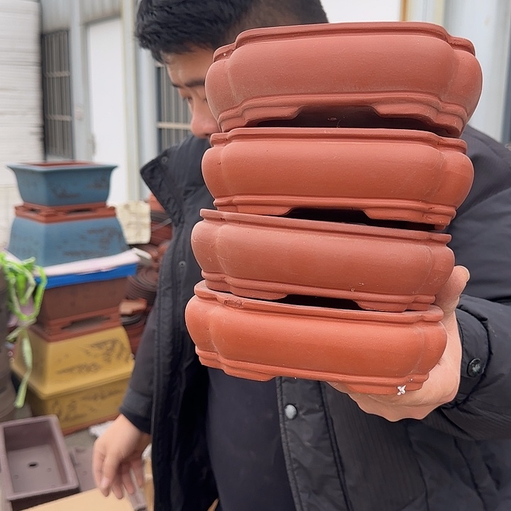 紫砂花盆这是我的