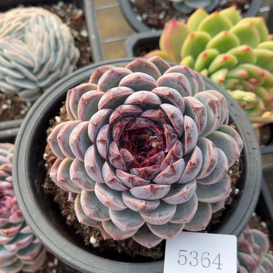 h****25364肉肉肉肉肉肉肉肉