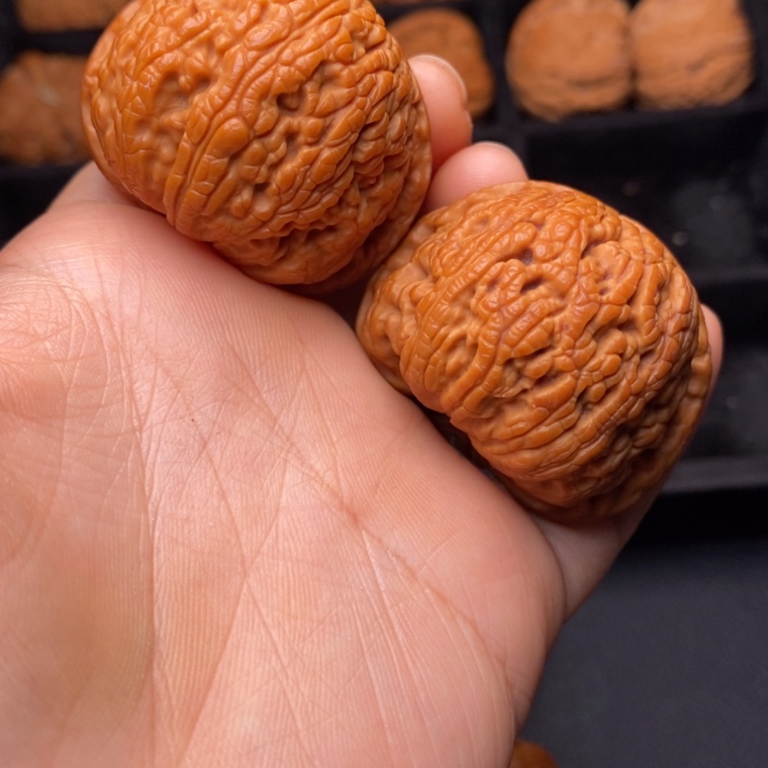 秦岭野生文玩核桃