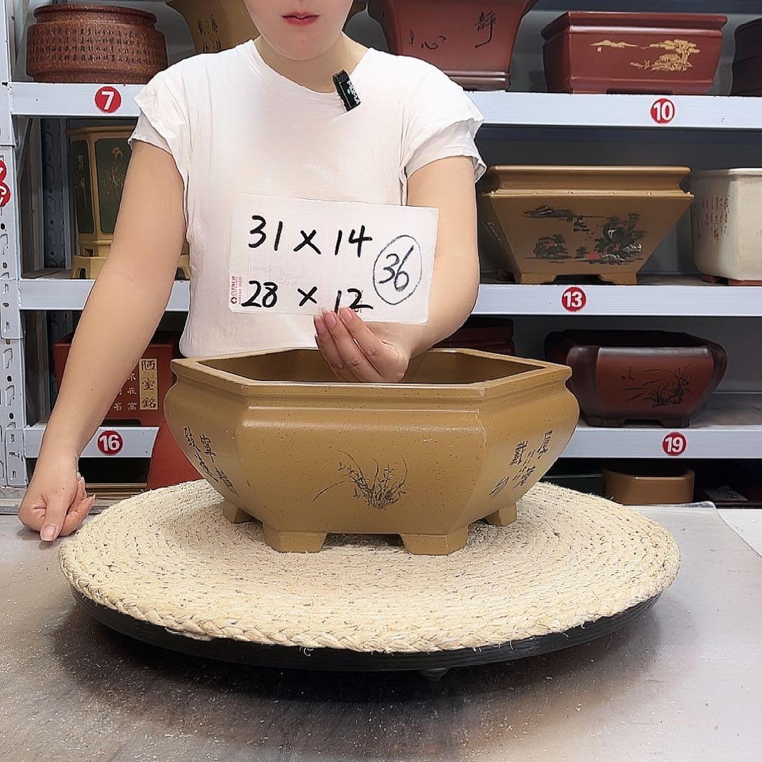 紫砂花盆紫砂花盆