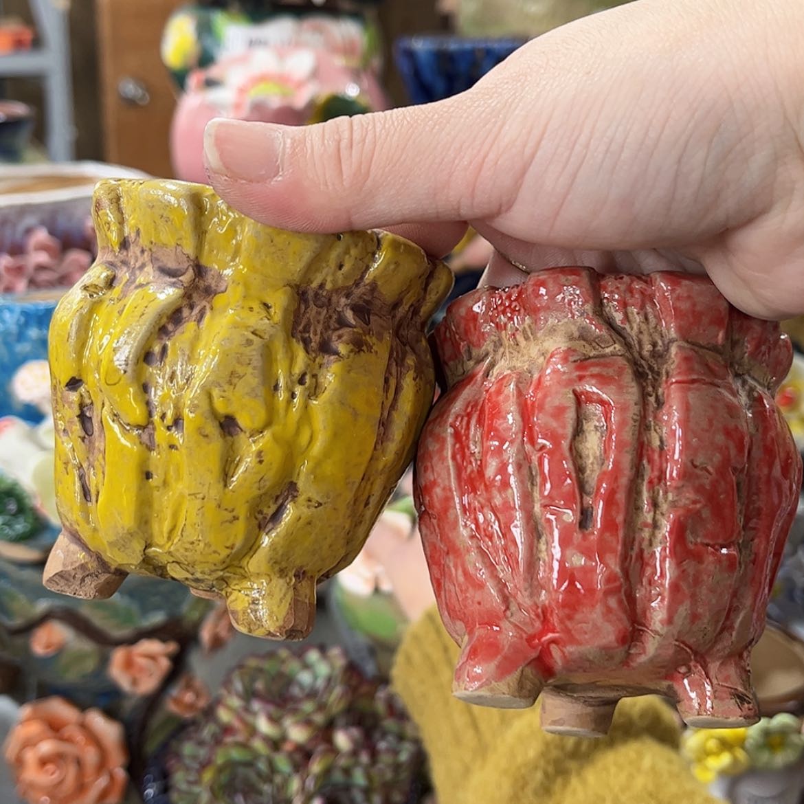 【闪购商品】红陶福利