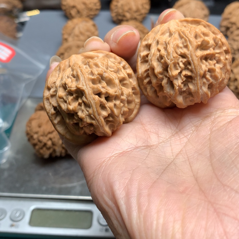 【闪购商品】核桃手串/手链豆****姐40苹果园