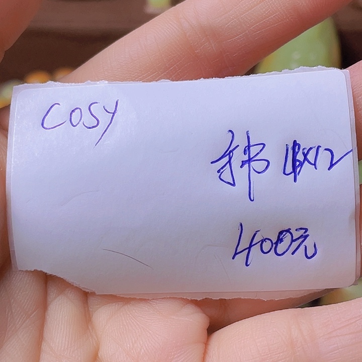 未镶嵌手串岫岩河磨玉（透闪石质玉）C***丶