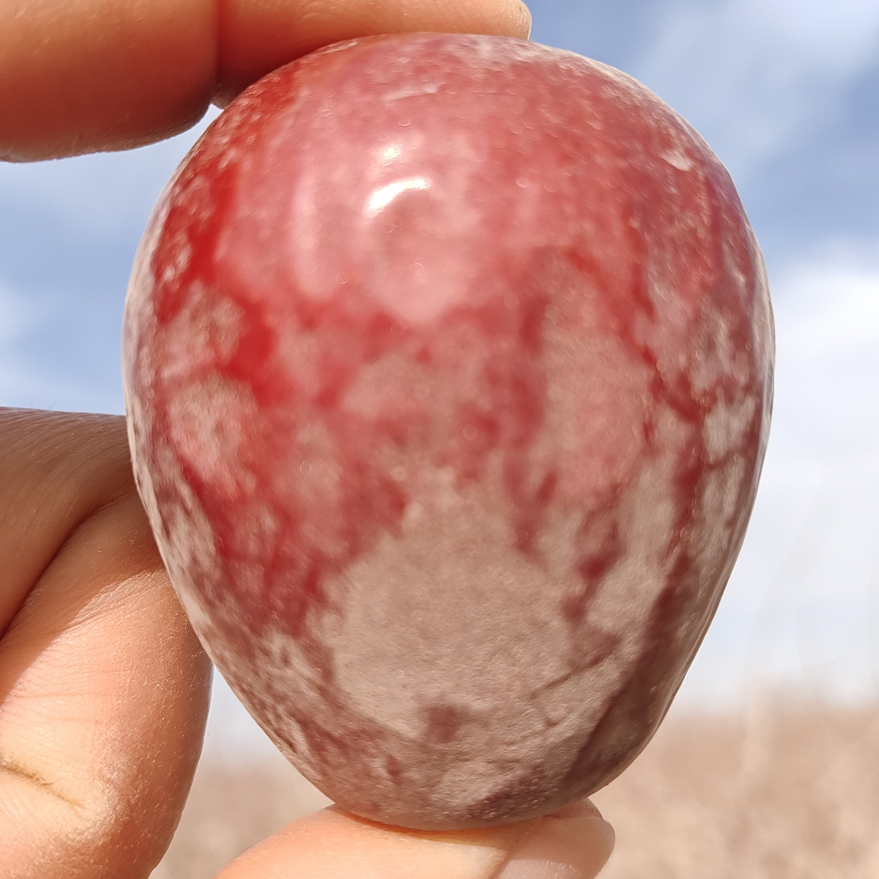 新疆和田大枣核小肉厚未清洗原生态树上自然吊干枣产地直发（枣王）