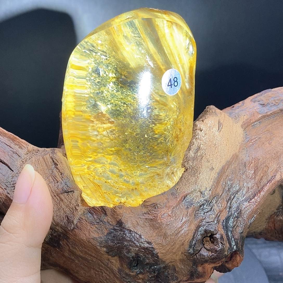 黄胶花未镶嵌水晶