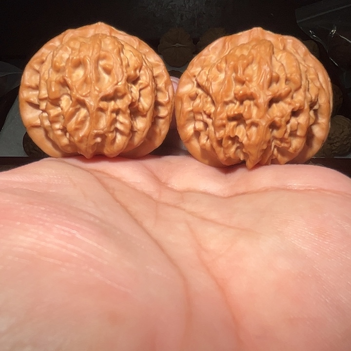 木43宫灯。 大克重。