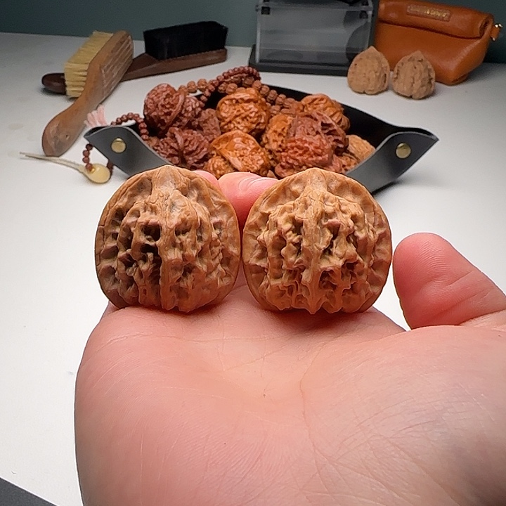 36-34-36一代天地S7号