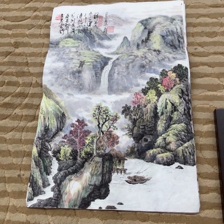 国画花鸟的翅膀和羽毛的