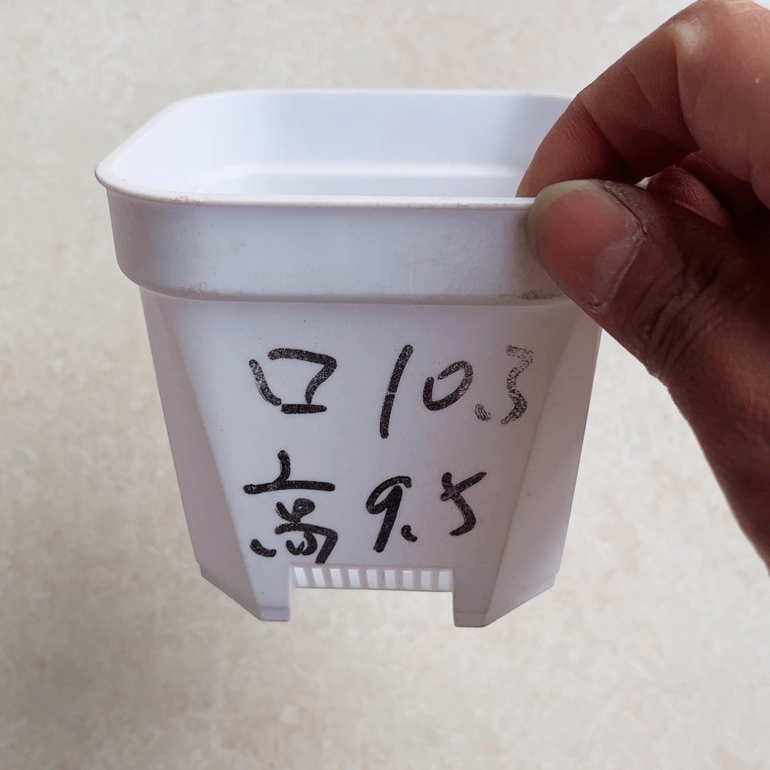 塑料加厚矮胖10方白色盆10个无托
