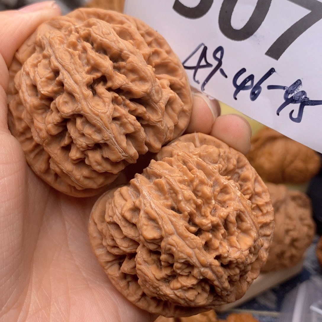 文玩核桃把件507号49粗筋全