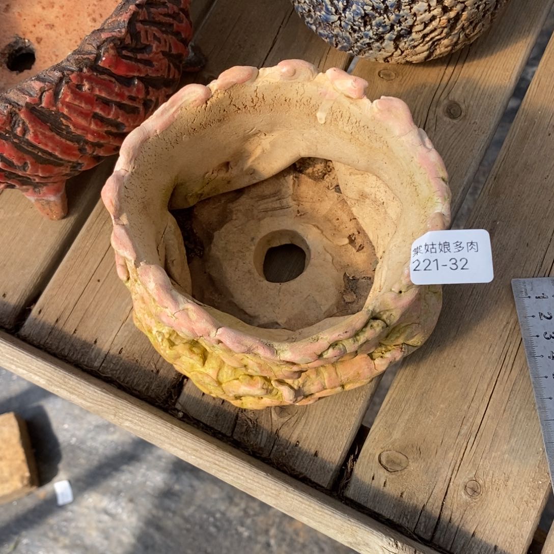 红陶是**吖32号多肉盆一个呀