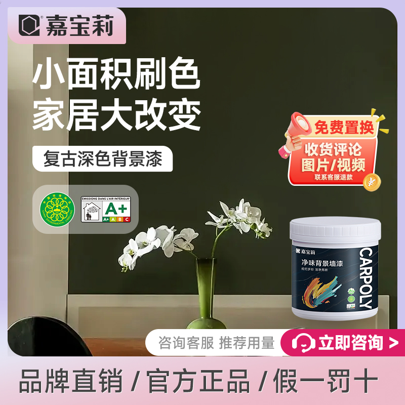 嘉宝莉客厅沙发电视背景墙面翻新漆乳胶漆室内墙家用改色自刷油漆