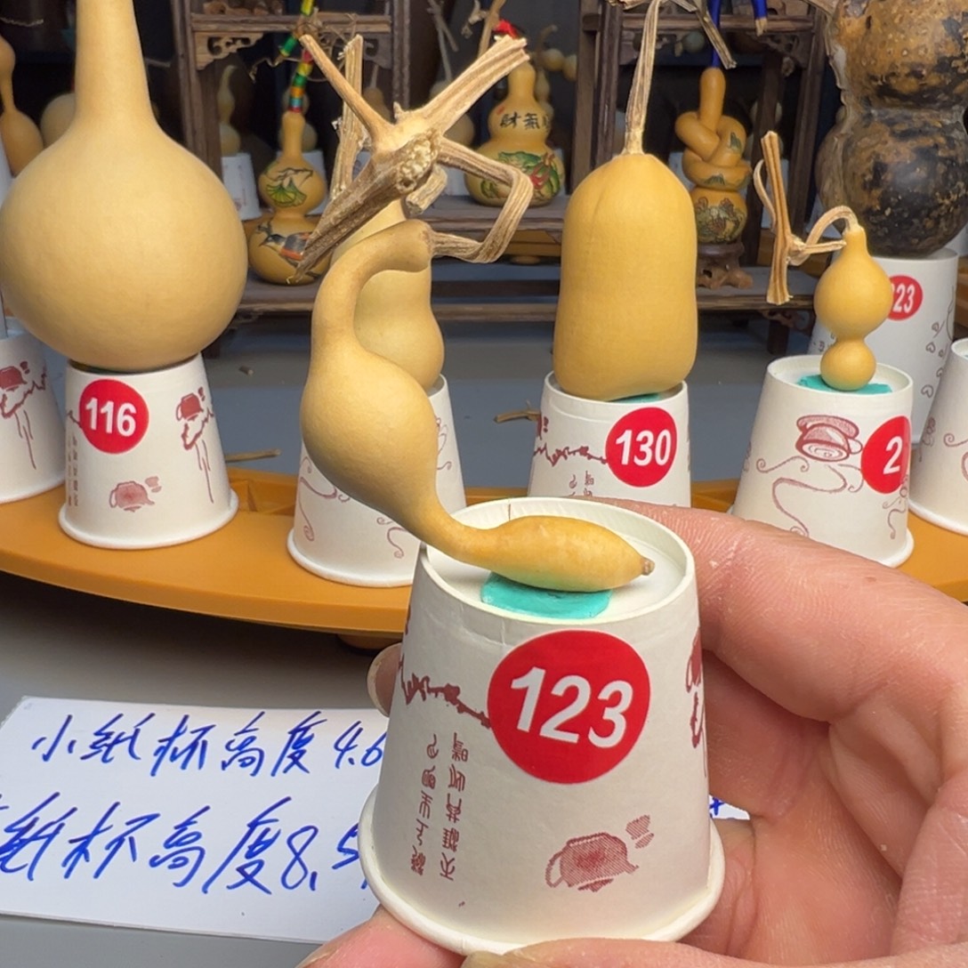 闪电购自助下单编号123