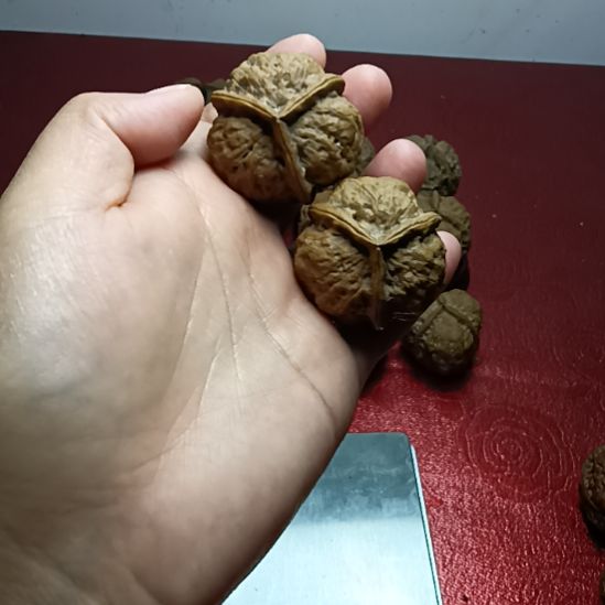 把件文玩核桃疙瘩包三棱5号