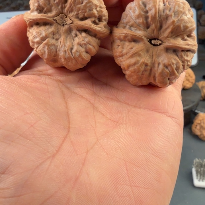 新***灿文玩核桃吊坠蛤蟆的眼睛是真的好看